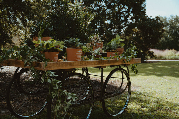 Lance Bicycle Table